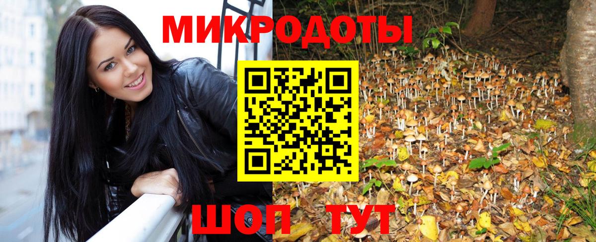 Псилоцибиновые грибы GOLDEN TEACHER Зеленогорск