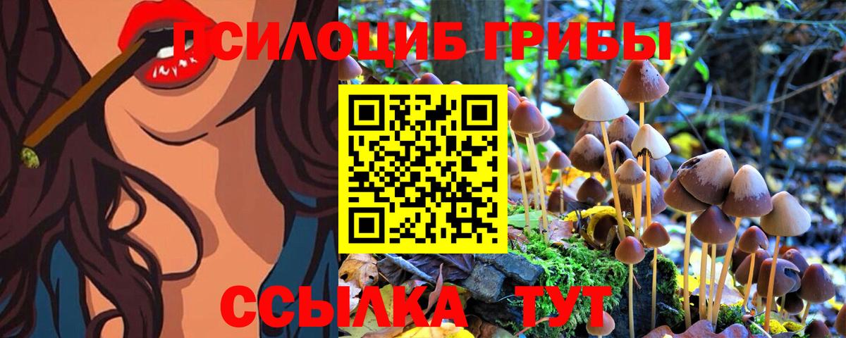 Галлюциногенные грибы GOLDEN TEACHER  Псилоцибиновые грибы Cubensis  наркошоп  Зеленогорск  Вход с VPN 